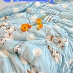 ผ้านวมใยไหมนม 6 ฟุต (6ผืนคละลาย)