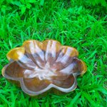 ชามไม้ มะยม GA114