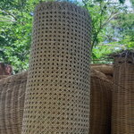 Rattan Roll RR111 2022.6.11