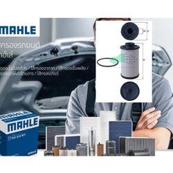 HX 132D ไส้กรองเกียร์ 6-DSG S-Tronic / TT Q2, Beetle Scirocco Golf (ยี่ห้อ MAHLE)