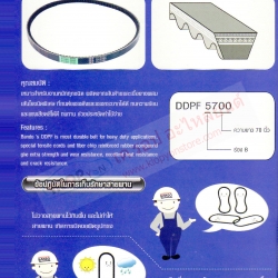 (เบอร์-ขนาด สายพานรถยนต์ Bando) DDPF