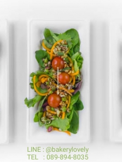 จานชานอ้อย สี่เหลี่ยม