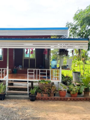 บ้านสวน ยกพื้นใต้ถุนโล่ง ปลูกท่ามกลางท้องทุ่งนาเขียวขจี.