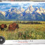 Eurographics - Grand Teton National Park Wyoming, USA (Non-Pattern) 1000 pcs.