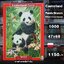 Castorland - Panda Brunch by William Vanderdasson 1000 pcs.