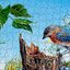 SunsOut - Enjoy the Day by Caplyn Dor (Random Cut) 1000 pcs.