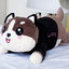 ตุ๊กตาผ้าห่มน้องหมา (10 ตัวคละสี)