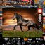 Educa - Trotting Horse by Shutterstock 1000 pcs.