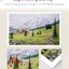 Pintoo - Mountainous Tranquility 1000 pcs.
