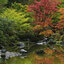 HEYE - Zen Reflection, Portland, USA by Alexander Von Humboldt (Panorama) 1000 pcs.