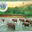 Eurographics - Save Our Planet : Rain Forest (Non-Pattern) 1000 pcs.