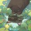 Pintoo - Pond by Limduey 900 pcs.
