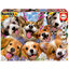 Educa - Puppies Selfie by Howard Robinson 1000 pcs.