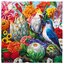 eeBoo - Magical Fruits by Naomi Devil 1000 pcs.