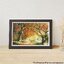 Pintoo - Forever Autumn by Dominic Davison 1000 pcs.