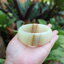 กำไลอาเกต หน้ากว้าง No.A056 ไซส์ 5.9 สีงาช้าง ลายวงหิน