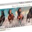 Clementoni - Horses (Panorama) (Compact Box + Poster Included) 1000 pcs.
