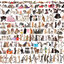 Eurographics - The World of Cats (Non-Pattern) 1000 pcs.