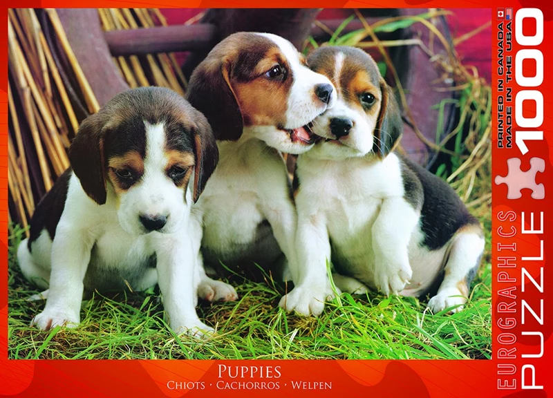 Eurographics - Puppies (Non-Pattern) 1000 pcs.