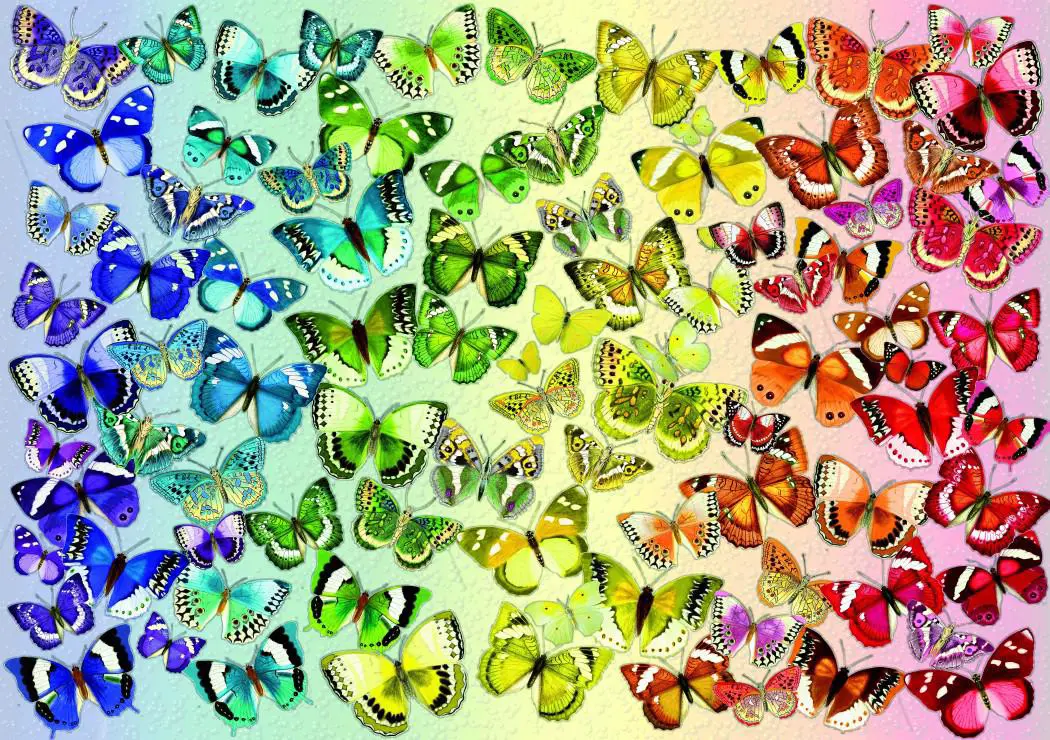 Bluebird Puzzle - Butterflies 1000 pcs.